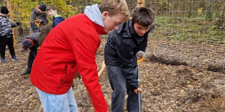 Powiększ grafikę: wspolne-sadzenie-drzew-na-matarni-650645.jpg