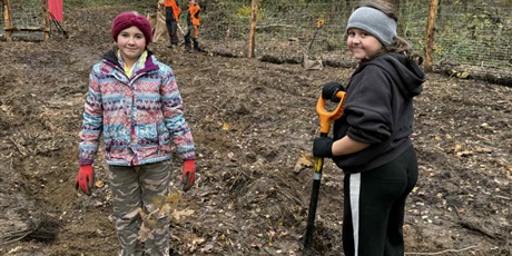 Powiększ grafikę: wspolne-sadzenie-drzew-na-matarni-650651.jpg